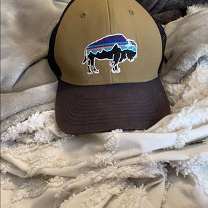 Patagonia trucker hat